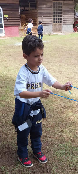 Bicho Mania 2022